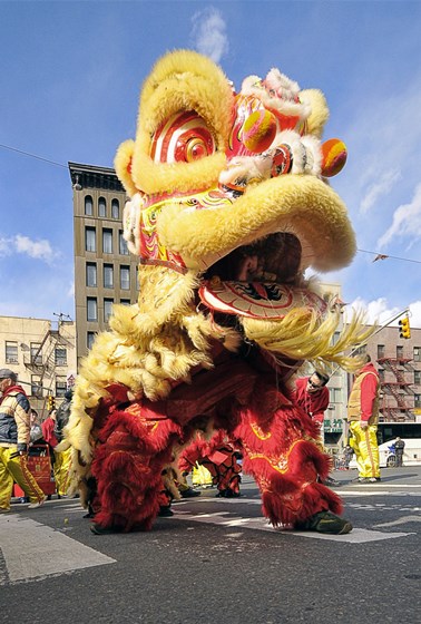 Lion Dance Costume: Lion Dance Costume