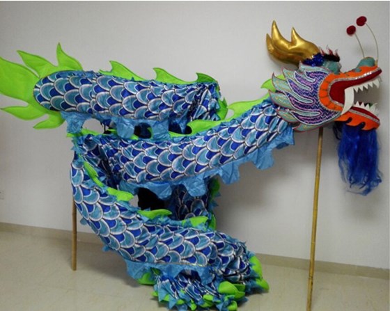 chinese dragon costume: Chinese Dragon Costume