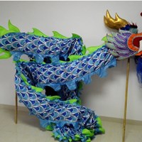 Lion Dance Costume's Portfolio
